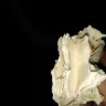 KFC - poor service and food - Photo 1