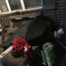 Alabama Department Of Human Resources / Dhr.Alabama.gov - My rights as a mother have been violated. - Photo 4