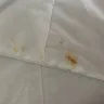 Four Points Hotels by Sheraton - Stained bed sheets/ customer service - Photo 1