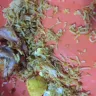 LuLu Hypermarket - food quality & hygiene - Photo 3
