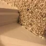 National Floors Direct - carpeting done on my stairs. - Photo 4