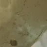 Americas Best Value Inn - jacuzzi room - Photo 3