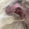Banfield Pet Hospital - doctor, surgery, service - Photo 2