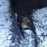 Craigslist - s&b roofing - Photo 4