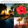 Facebook - fake hotel - fake rentals - Photo 3
