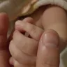 Tommee Tippee - dummies - Photo 1