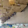 Dollar Tree - the store needs help - Photo 1