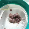 Woolworths - macro black beans - Photo 1