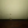 Americas Best Value Inn - room #519 & room service - Photo 5