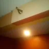 Americas Best Value Inn - room #519 & room service - Photo 19