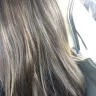 Paul Mitchell - highlights - Photo 1