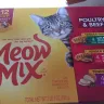 Meow Mix / Big Heart Pet Brands - tender favorites with real chicken and liver in sauce