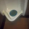 Tim Hortons - service, washroom - Photo 1