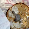 Tim Hortons - product - bagel toasted with lite cream cheese. - Photo 1