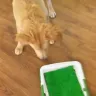 Jumia - puppy training pad - Photo 2