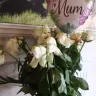 Lovely Flora World - 24 white roses bouquet