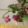 Lovely Flora World - purchased a bouquet of 12 pink roses, received 11 extremely wilted dying roses