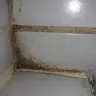 Americas Best Value Inn - nasty room - Photo 5