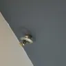 Baymont Inn & Suites - the cleanliness of hotel and rooms - Photo 3