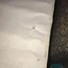Great Wolf Lodge - bed bugs and horrible customer service - Photo 12