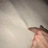 Great Wolf Lodge - bed bugs and horrible customer service - Photo 16