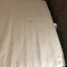 Great Wolf Lodge - bed bugs and horrible customer service - Photo 19