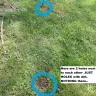 Wholesale Nursery Company - refund/exchange - Photo 1