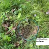 Wholesale Nursery Company - refund/exchange - Photo 2