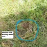 Wholesale Nursery Company - refund/exchange - Photo 3