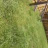 Wholesale Nursery Company - refund/exchange - Photo 4