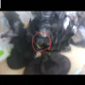 Yanwen - the item was damaged when they arrived - Photo 4