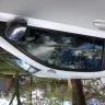 Toyota - blizzard white paint peeling on scion - Photo 2