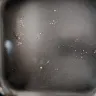 NuWave - 10 quart air fryer - Photo 1