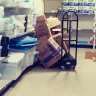 Dollar General - store organization, cleanliness, and safety - Photo 1