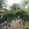 Oncor - oncor utility - Photo 3