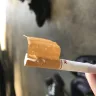Pall Mall Cigarettes - defective cigarettes - Photo 1