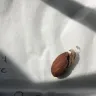 Southern Grove - mixed nuts (less than 50% peanuts)