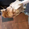 KFC - the unprofessionalism of the staff and the uncleanliness of the fountain drink dispensary - Photo 1