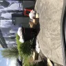 Steak 'n Shake - trash outside and in landscaping - Photo 1