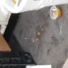 Dollar Tree - the store hazards - Photo 1