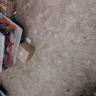Dollar Tree - the store hazards - Photo 9