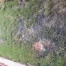 D.R. Horton - Drainage - Photo 3