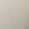Dulux Paints - fine cream paint for walls and ceilings - Photo 1