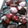 Shari's Berries / Berries.com - product is disgusting.