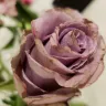 Jewel-Osco - flowers for mother's day - Photo 3