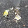 Republic Services - hazardous materials coming out of truck onto street with 100+ kids - Photo 3