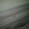 Americas Best Value Inn - my entire experience - Photo 3