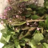 Bunches Direct - bulk floral delivery - Photo 2