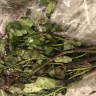 Bunches Direct - bulk floral delivery - Photo 4