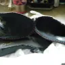 Clarks - mule shoes - Photo 2
